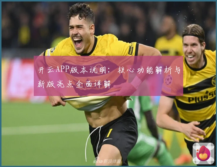 开云APP版本说明：核心功能解析与新版亮点全面详解