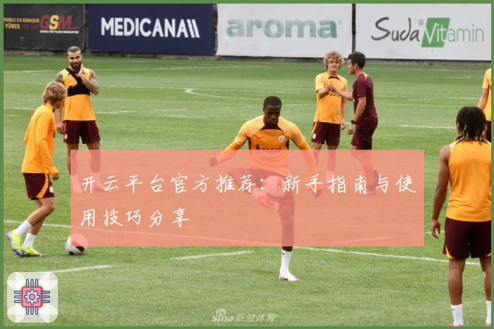 开云平台官方推荐：新手指南与使用技巧分享